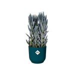 vibes fold rund 25cm tiefes blau